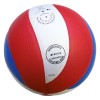 Gala volleybal Pro-line 5171S10