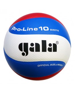 Gala volleybal Pro-line 5171S10